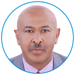 Dr. Mahmoud Tageldin Dr. Mahmoud Tageldin